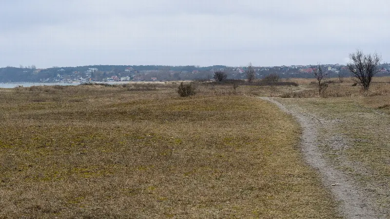 Ścieżka przez suche łąki rezerwatu Mechelińskie Łąki, w tle Mechelinki i klif Kępy Oksywskiej