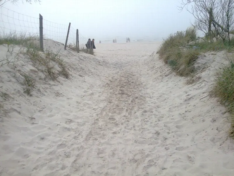 Piaszczysta ścieżka na plażę w Rowach między wydmami Słowińskiego Parku Narodowego