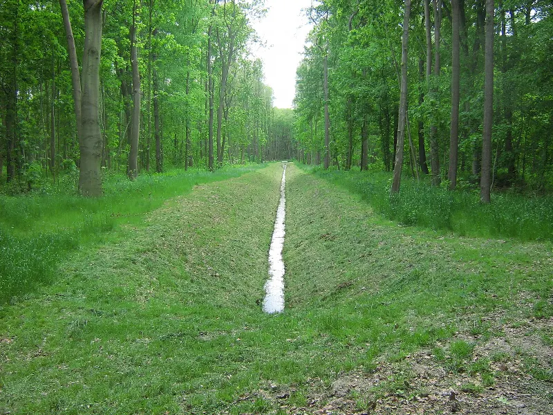 Prosty kanał wodny między wysokimi drzewami w Parku Zdrojowym