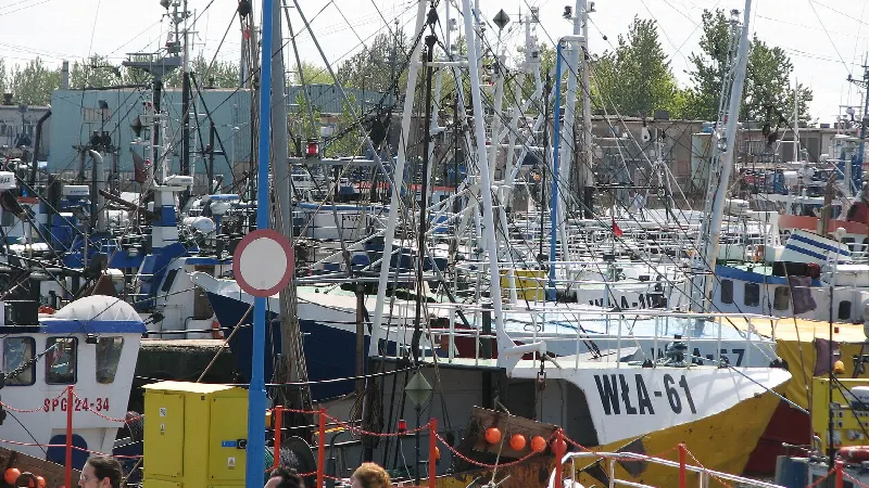 Ciasno zacumowane kutry z oznaczeniem WŁA na burtach w porcie rybackim we Władysławowie