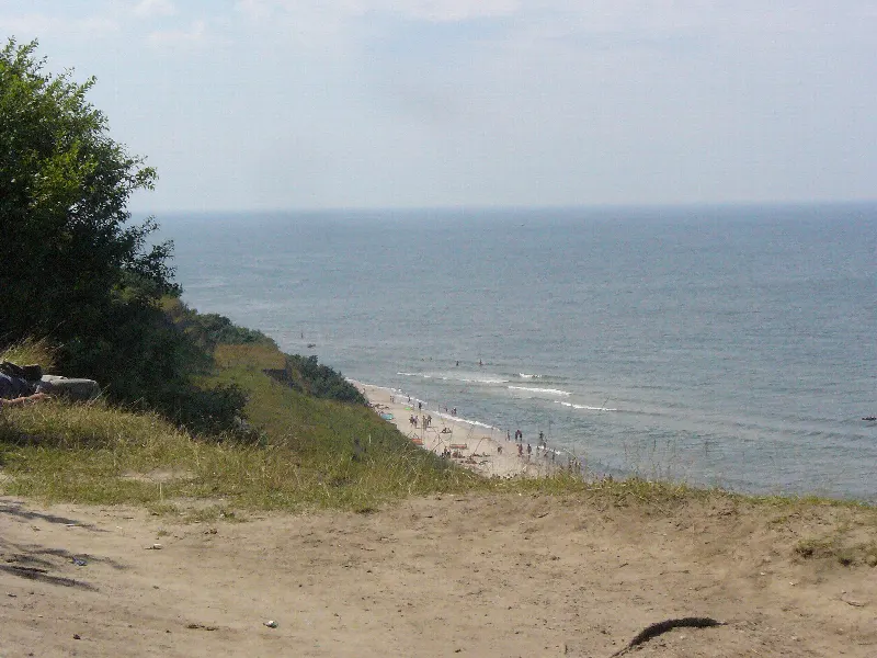 Widok z korony klifu w Jastrzębiej Górze na porośnięte zbocze i plażę u jego podnóża