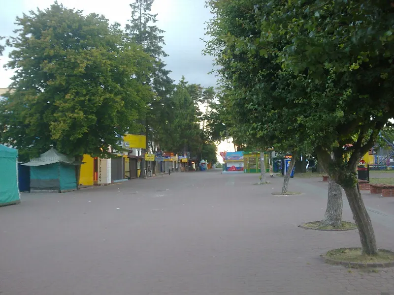 Deptak Promenada Światowida w Jastrzębiej Górze z drzewami i budkami handlowymi, prowadzący w stronę klifu
