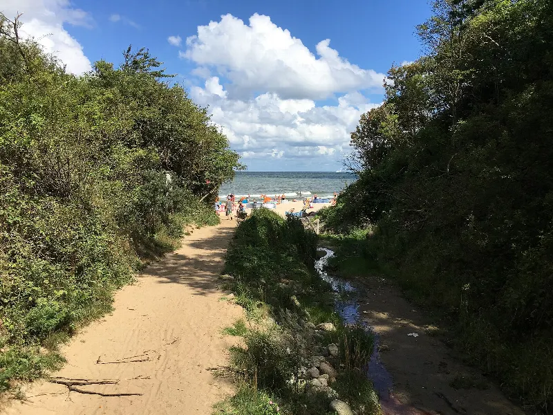 Wylot Doliny Chłapowskiej na plażę: piaszczysta ścieżka, strumień i morze między zboczami porośniętymi krzewami