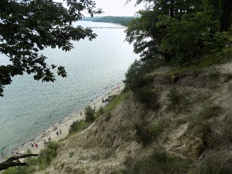Widok z zalesionej krawędzi Kępy Redłowskiej na plażę pod klifem i molo w Orłowie