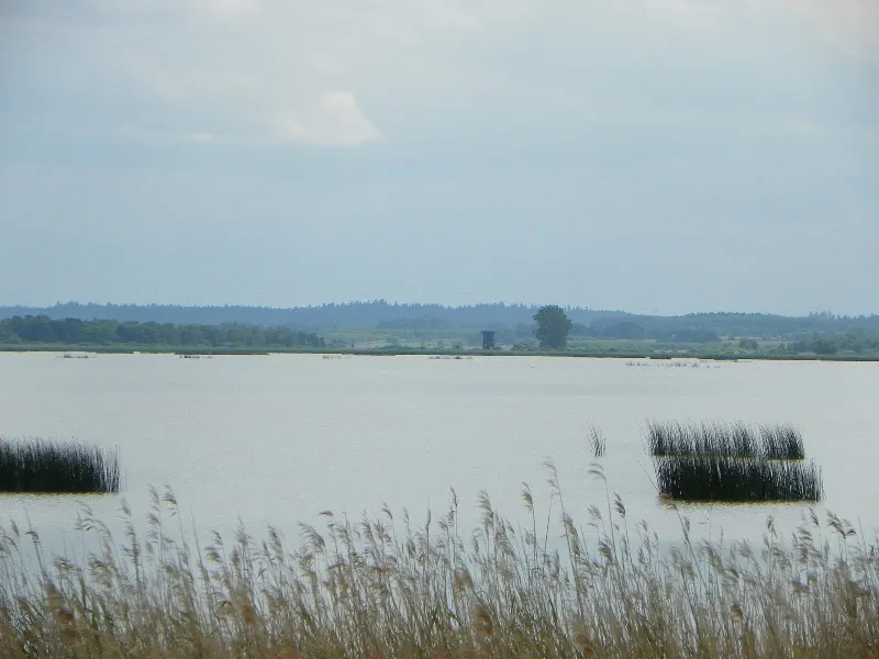 Widok z pomostu nad jeziorem Gardno