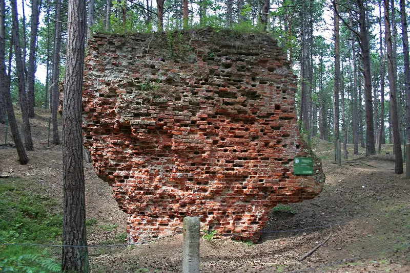 Ruiny starego kościoła w Łebie wśród drzew