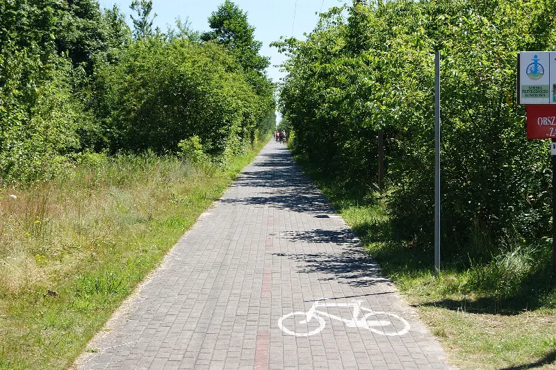 Oznakowana ścieżka rowerowa z kostki betonowej między zaroślami na Półwyspie Helskim w Chałupach