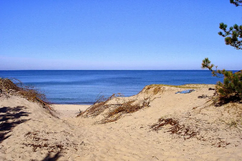 Plaża nad Bałtykiem między Wiciem a Rusinowem